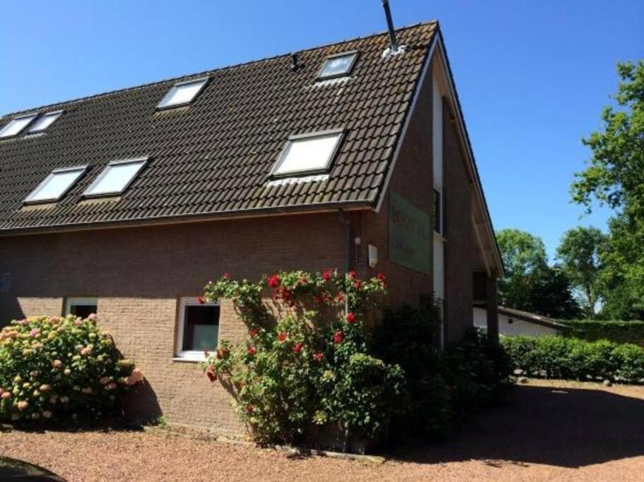 Boszicht 5 Appartement In Oostkapelle Zewnętrze zdjęcie